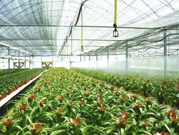 Hệ Thống Tưới Sân Vườn Tự Động BKAV SmartHome